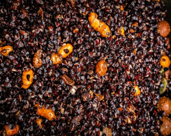 Ready to Fish King Mix 2kg